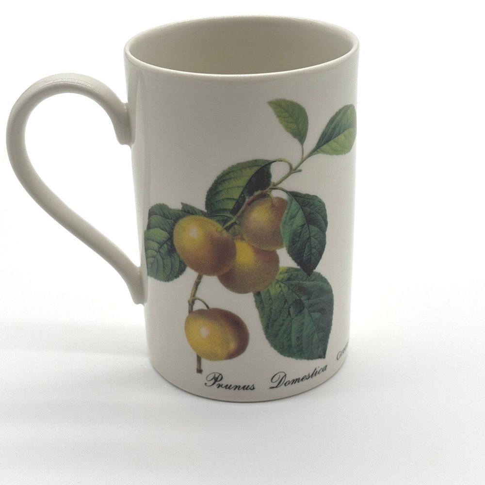 Dunoon Mug Prunus Domestica Botanical‎ Made in Scotland Ceramic Coffee Tea Cup